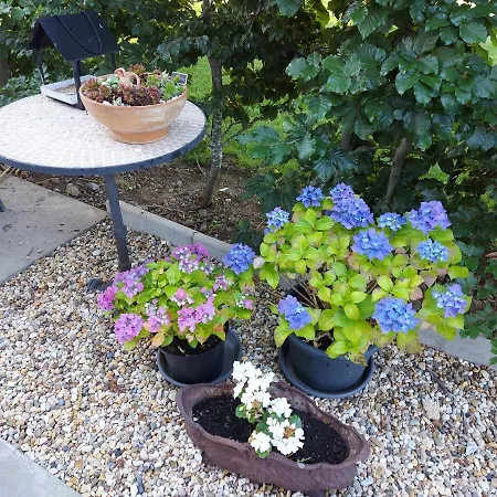 فندق مبيت وإفطار La Susteren