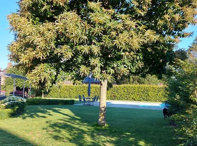 La فندق مبيت وإفطار 4*